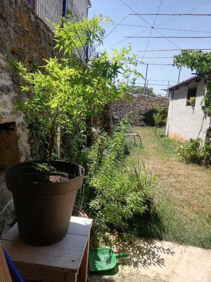 Old Istrian House,Free Parking Apartamento Galižana Exterior foto